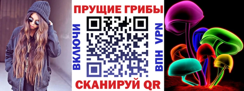 маркетплейс какой сайт  Бодайбо  Псилоцибиновые грибы Psilocybe 