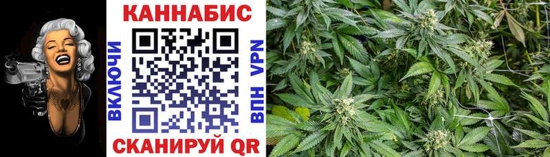 Конопля тримм  купить  сайты  darknet формула  Бодайбо 